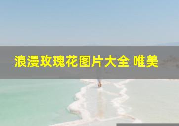 浪漫玫瑰花图片大全 唯美